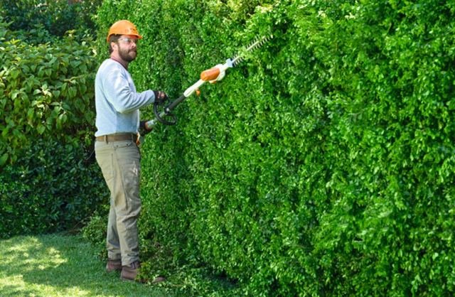 Entretien de jardin