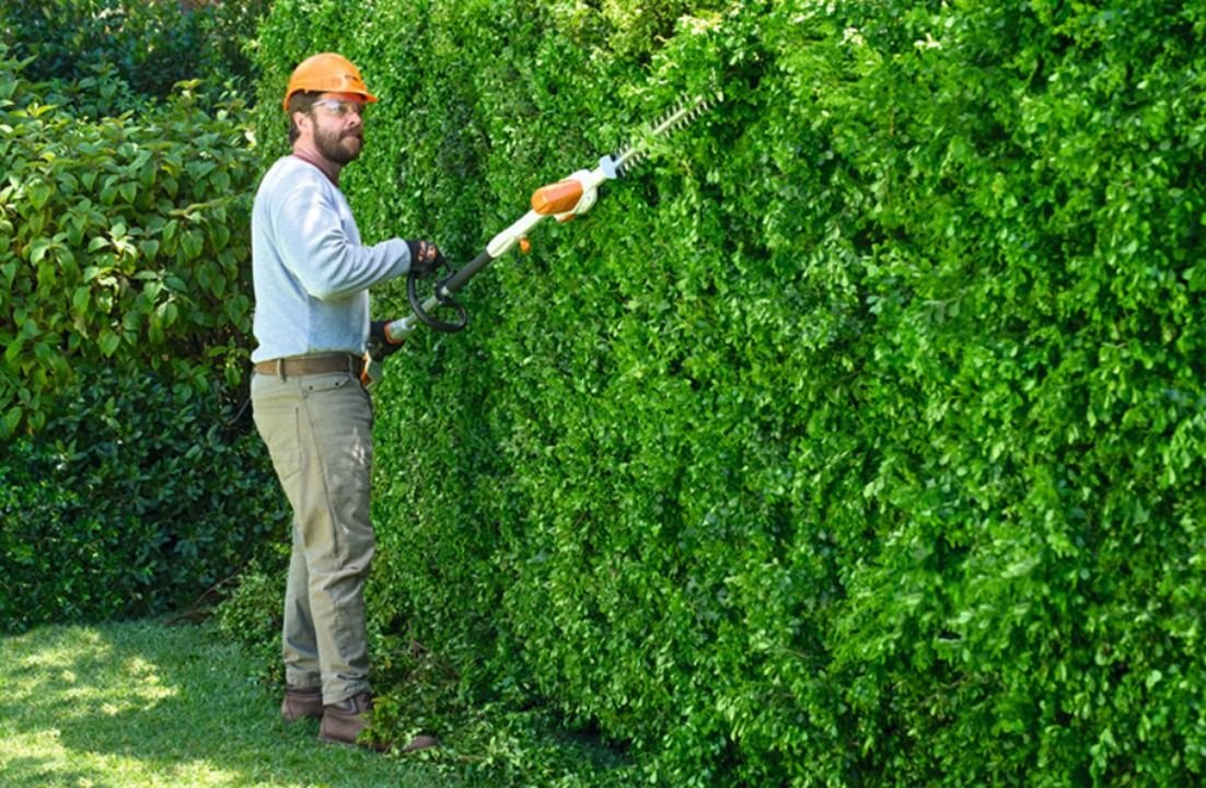 Jardinier taille haie deux sevres